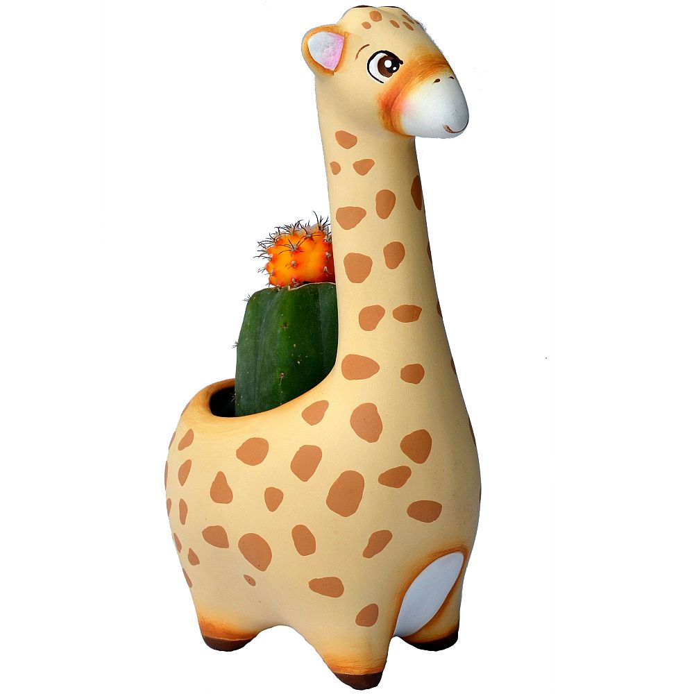 JIRAFA CON SUCULENTA AMARILLA