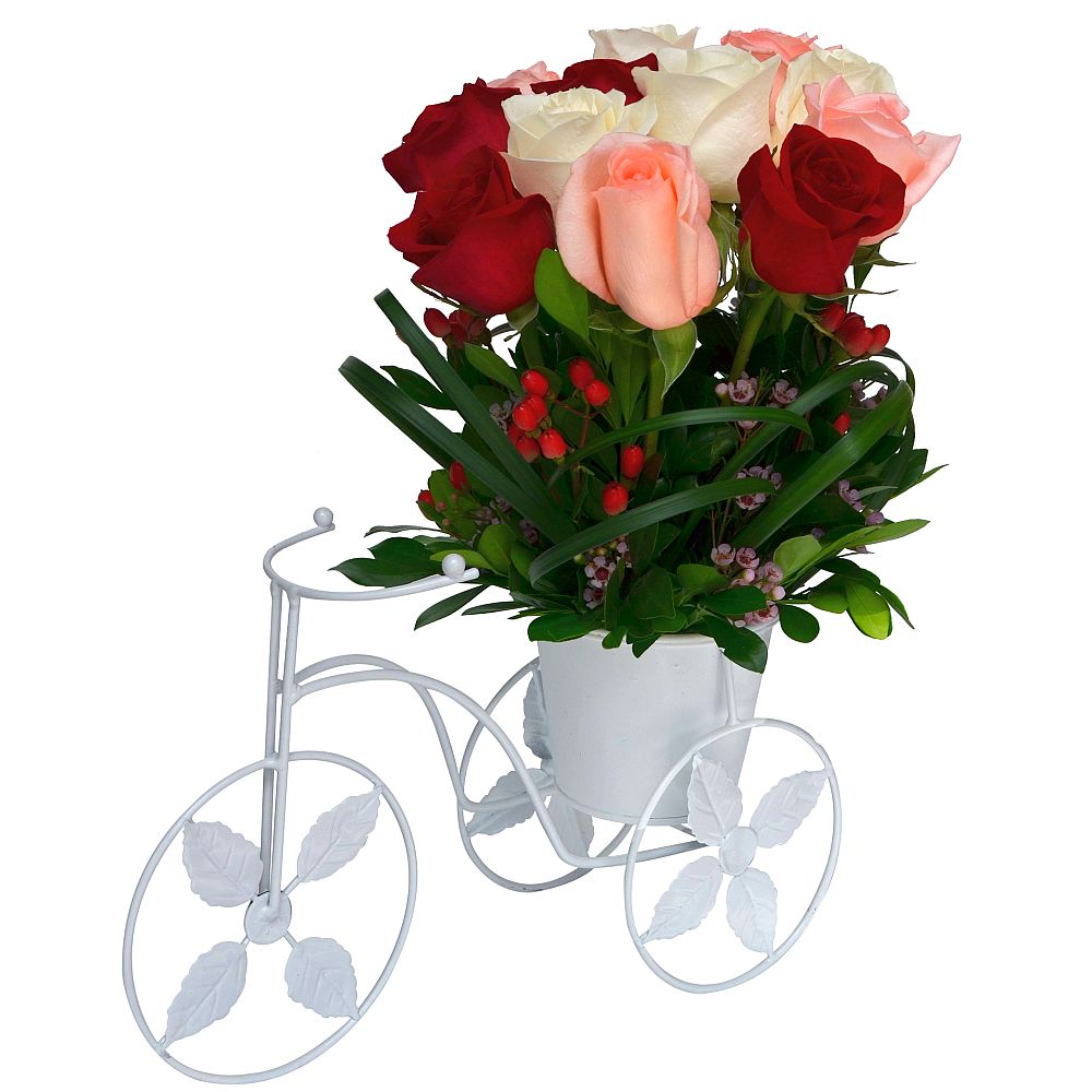TRICICLO DE ROSAS (TRICOLOR)