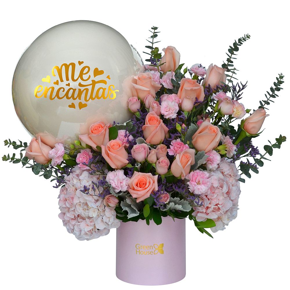 ESPLENDOR ME ENCANTAS