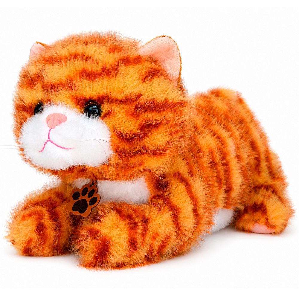 GATITO NARANJA ATIGRADO - Imagen 1