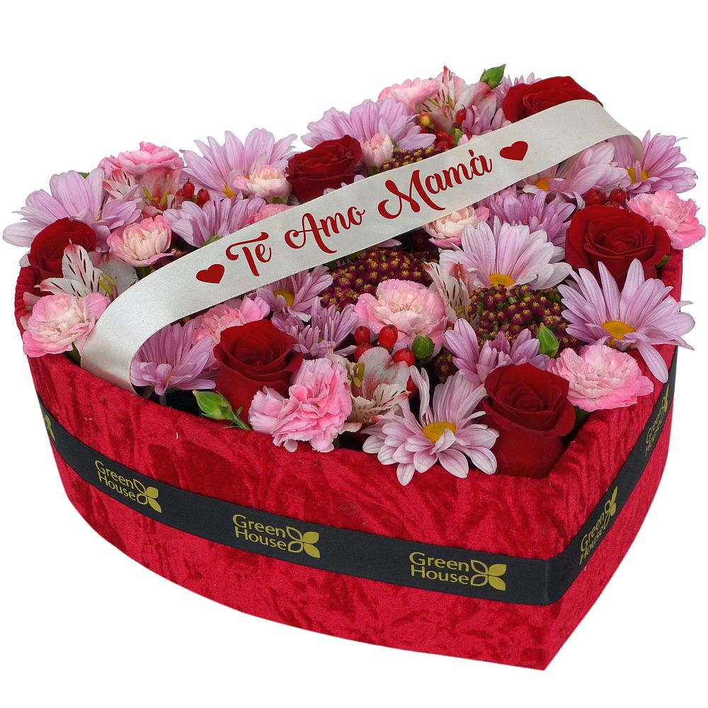 CORAZON TE AMO MAMÁ