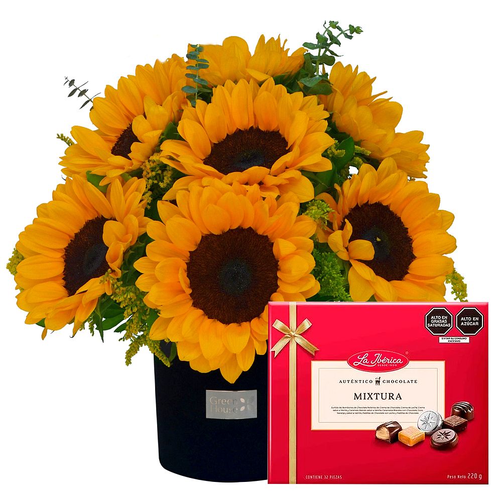 GLAM BLACK 10 GIRASOLES + ¡GRATIS! BOMBONES LA IBÉRICA MIXTURA - Imagen 1