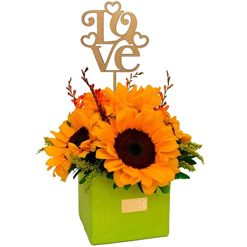 AMAZONÍA GIRASOLES LOVE