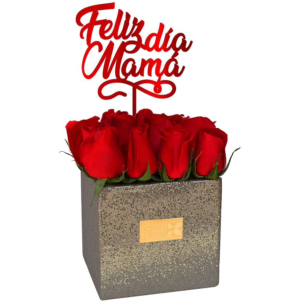CUBO MAMÁ 12 ROSAS