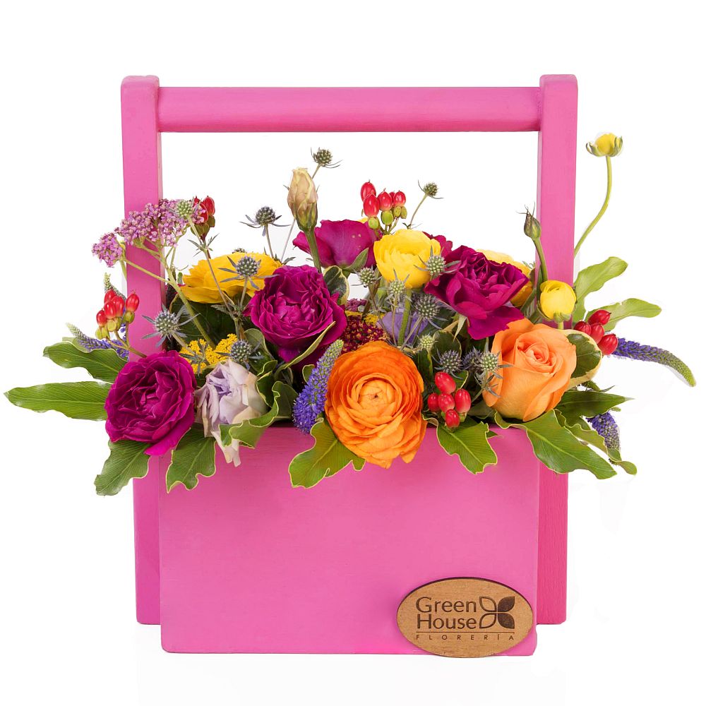 LINEA COLORS - JARDINERA FUCSIA