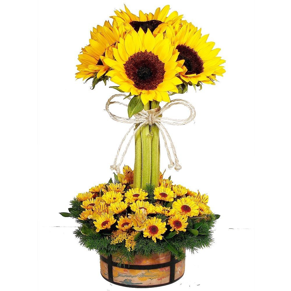 COLECCION CHULUCANAS - TOPIARIO GIRASOLES