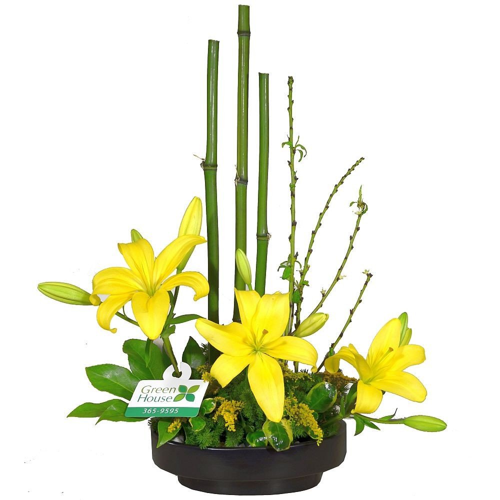 COLECCIÓN ZEN - IKEBANA LILIUMS