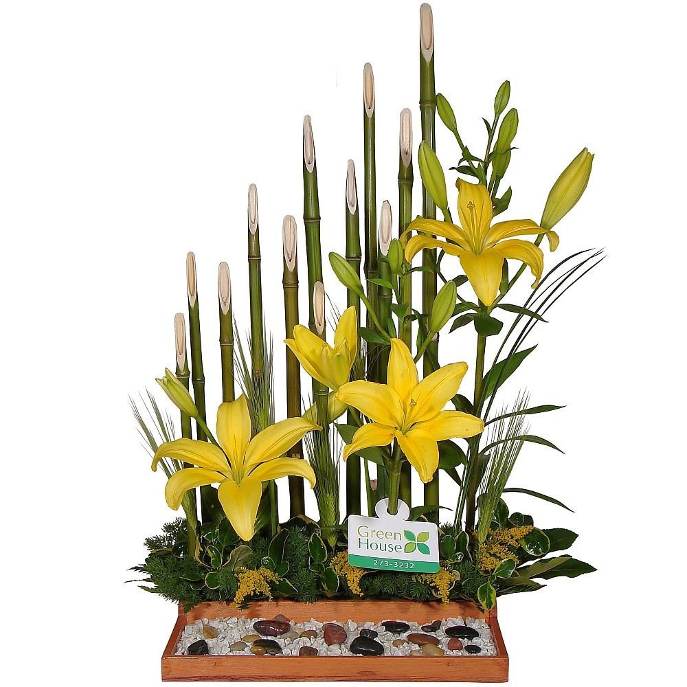 JARDÍN ZEN - LILIUMS