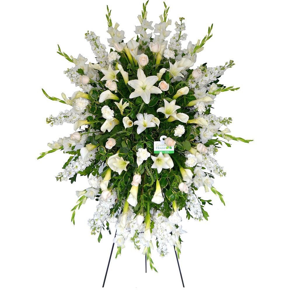 LÁGRIMA GRANDE - ESPECIAL