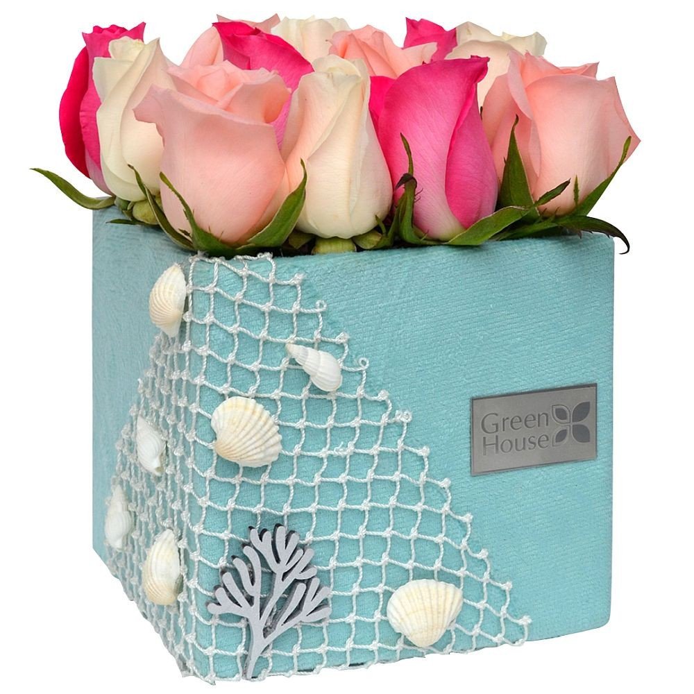 LINEA AQUA - 12 ROSAS