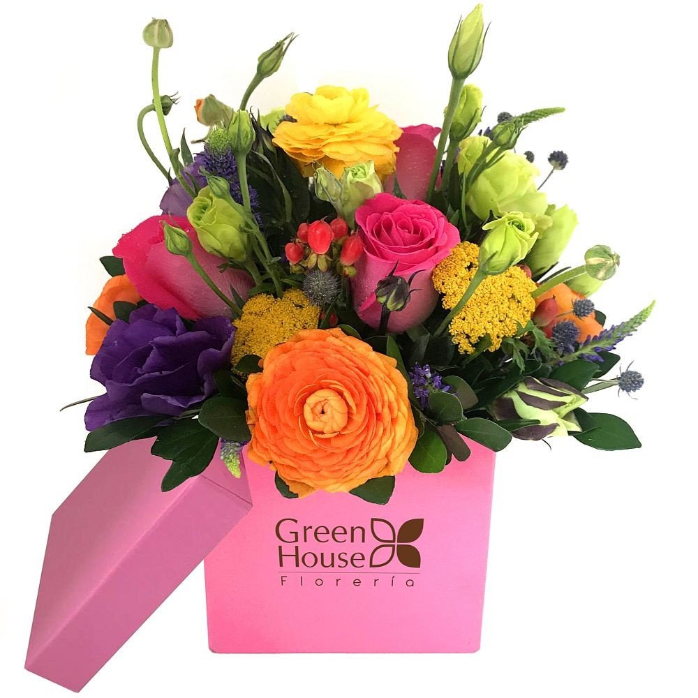 LINEA COLORS - BOX FUCSIA