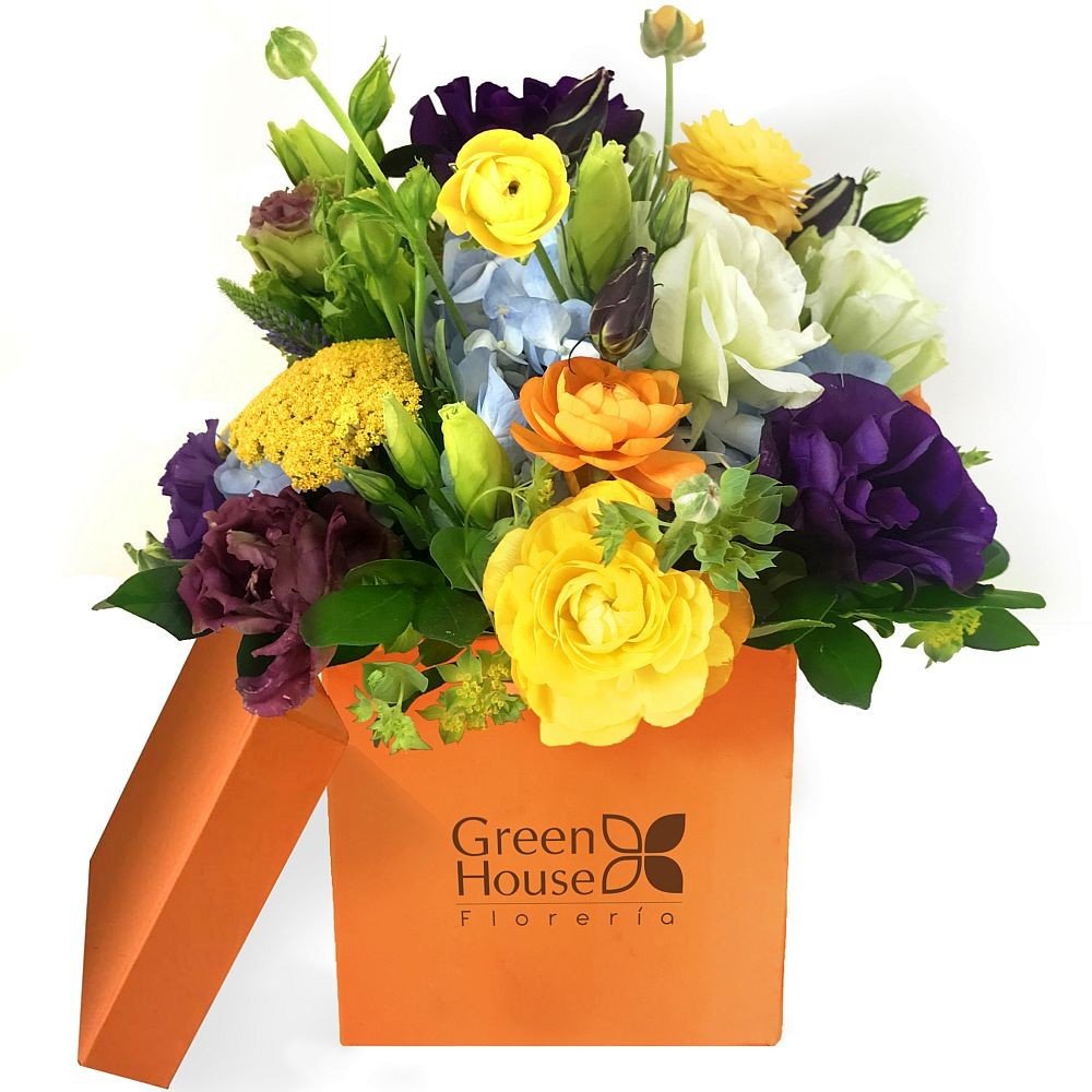 LINEA COLORS - BOX NARANJA