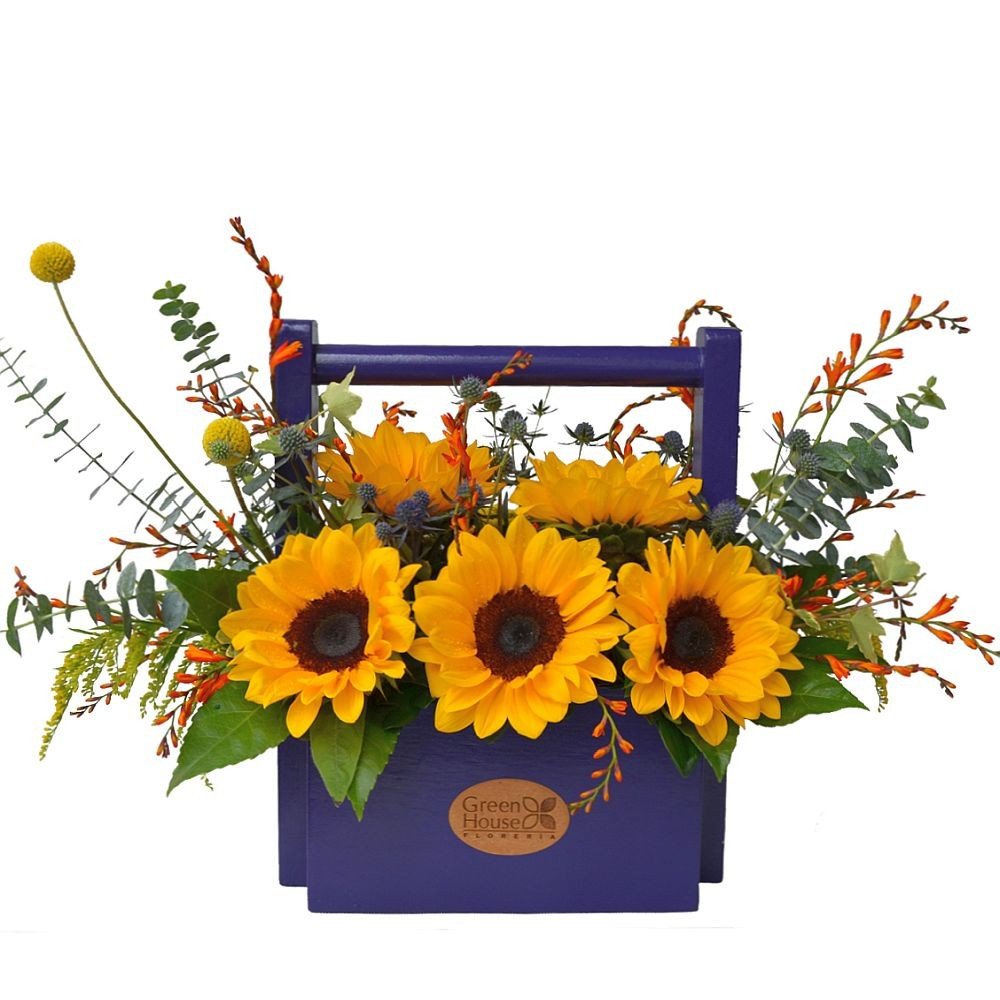 LINEA COLORS - JARDINERA GIRASOLES