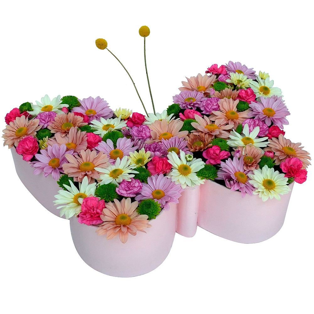 MARIPOSA PRIMAVERA (ROSADA)