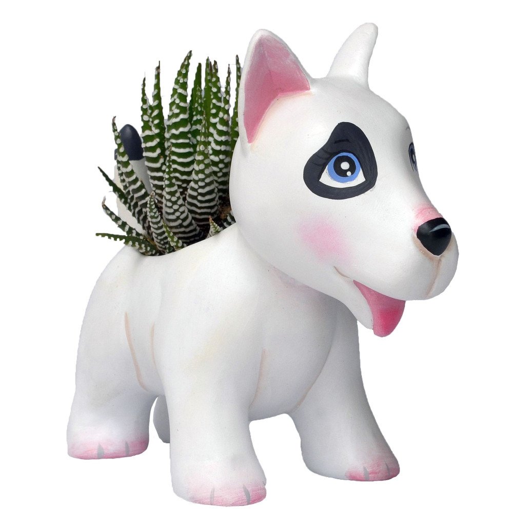 PERRITO BLANCO CON SUCULENTA