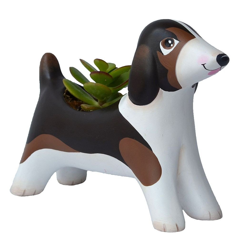 PERRITO SALCHICHA CON SUCULENTA