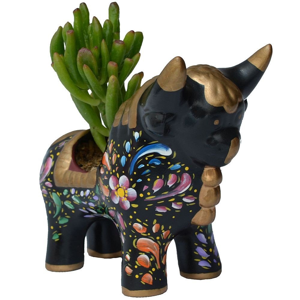 TORITO DE PUCARÁ NEGRO CON SUCULENTA