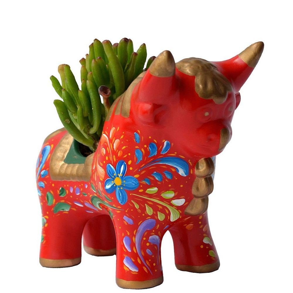 TORITO DE PUCARÁ ROJO CON SUCULENTA